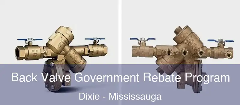  Back Valve Government Rebate Program Dixie - Mississauga