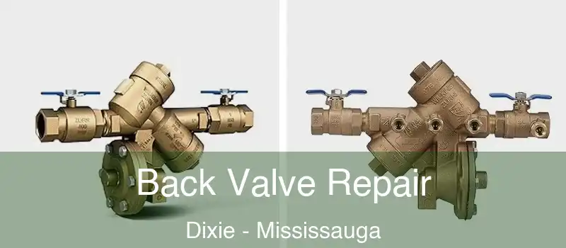  Back Valve Repair Dixie - Mississauga