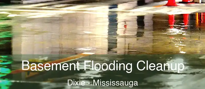  Basement Flooding Cleanup Dixie - Mississauga