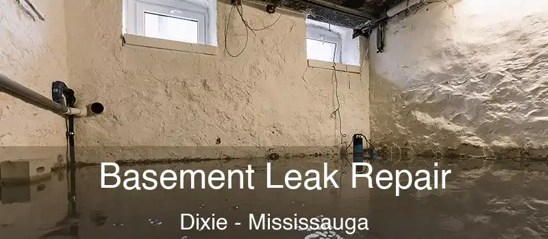  Basement Leak Repair Dixie - Mississauga