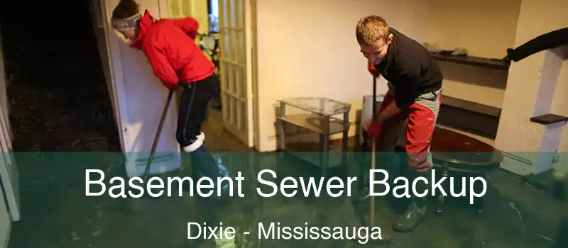  Basement Sewer Backup Dixie - Mississauga
