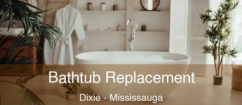  Bathtub Replacement Dixie - Mississauga