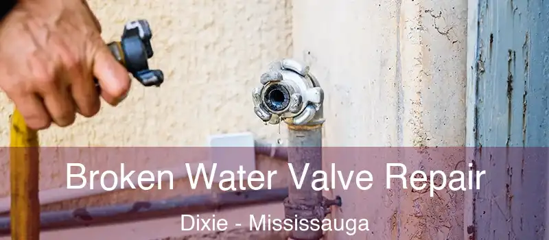  Broken Water Valve Repair Dixie - Mississauga