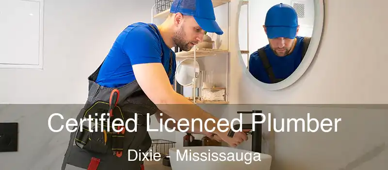  Certified Licenced Plumber Dixie - Mississauga
