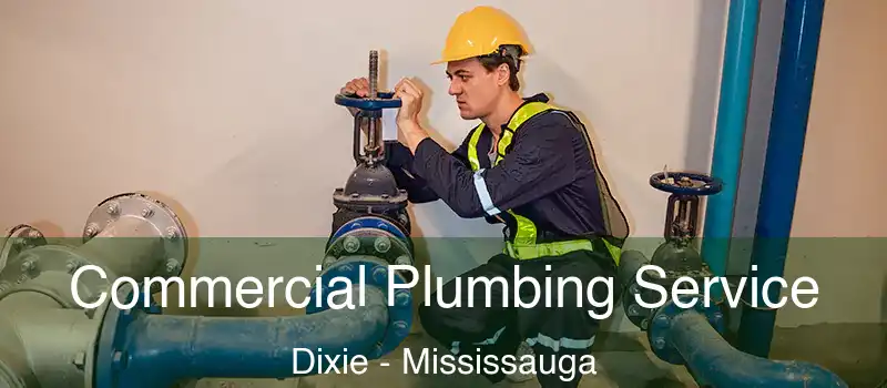  Commercial Plumbing Service Dixie - Mississauga
