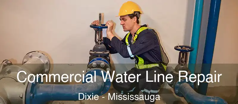  Commercial Water Line Repair Dixie - Mississauga