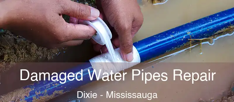  Damaged Water Pipes Repair Dixie - Mississauga