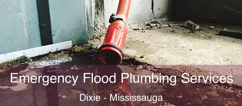 Emergency Flood Plumbing Services Dixie - Mississauga