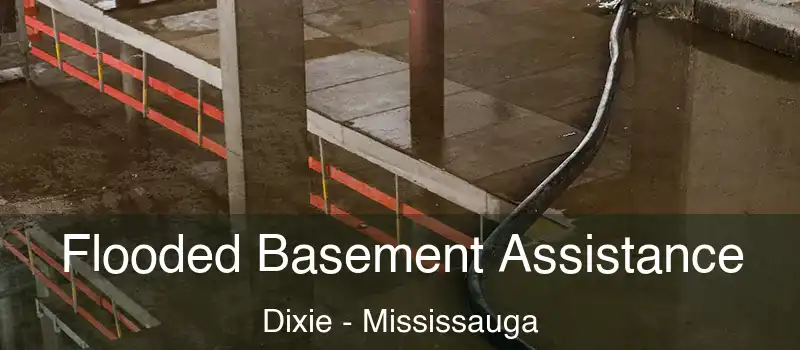  Flooded Basement Assistance Dixie - Mississauga