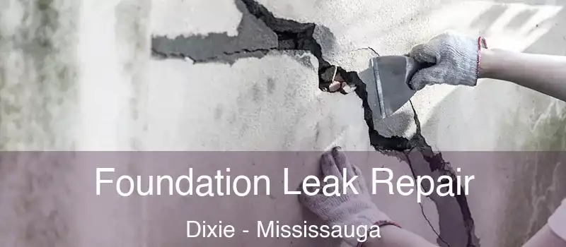  Foundation Leak Repair Dixie - Mississauga