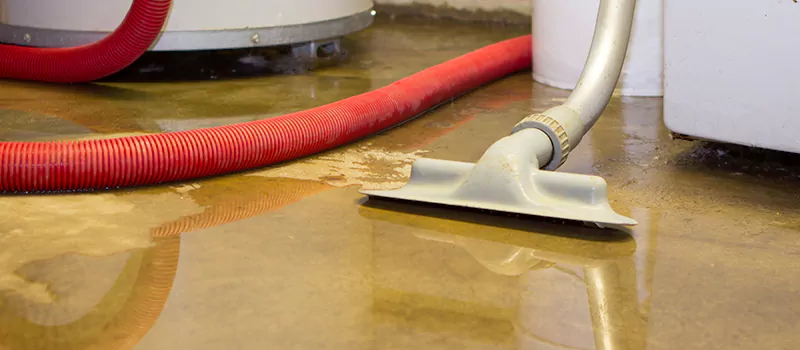 Professional Sewer Backup Cleanup Services in Dixie, Mississauga