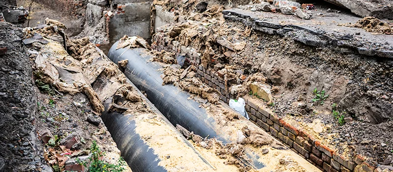Commercial Sewer Tree Roots Damage Solutions in Dixie, Mississauga