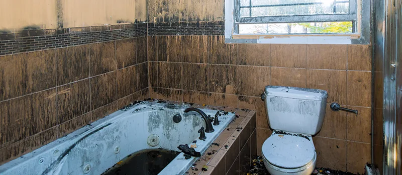 Residential Water Damage Restoration in Dixie, Mississauga