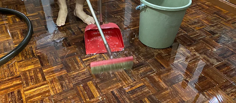 Water Removal And Restoration Services in Dixie, Mississauga