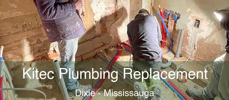  Kitec Plumbing Replacement Dixie - Mississauga