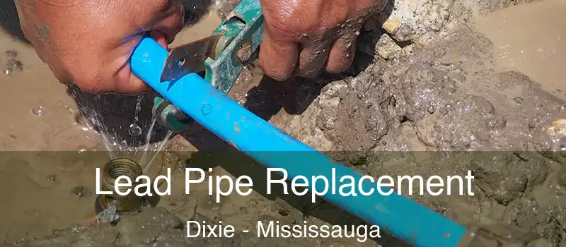 Lead Pipe Replacement Dixie - Mississauga