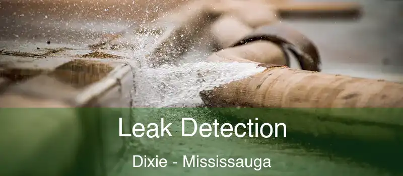  Leak Detection Dixie - Mississauga