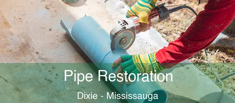  Pipe Restoration Dixie - Mississauga