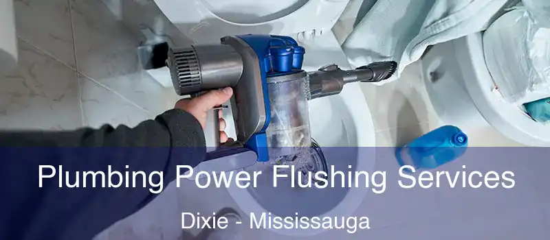  Plumbing Power Flushing Services Dixie - Mississauga