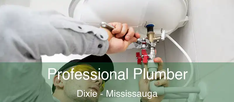  Professional Plumber Dixie - Mississauga