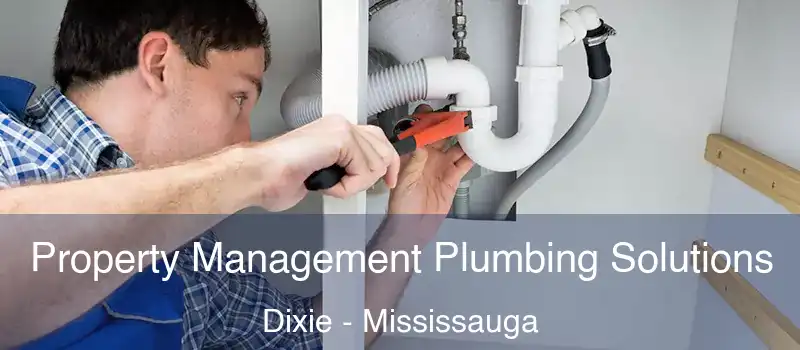  Property Management Plumbing Solutions Dixie - Mississauga