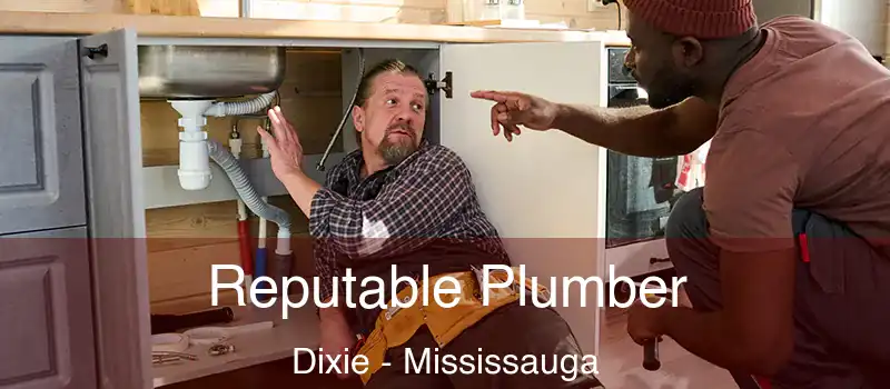 Reputable Plumber Dixie - Mississauga