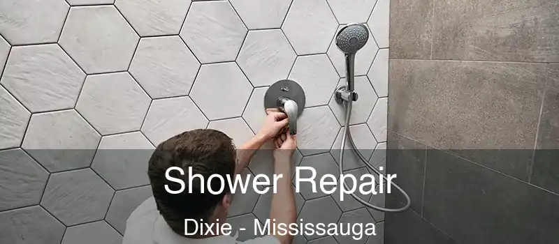  Shower Repair Dixie - Mississauga