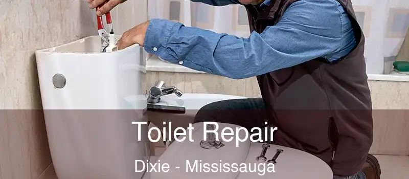  Toilet Repair Dixie - Mississauga