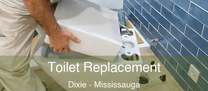  Toilet Replacement Dixie - Mississauga