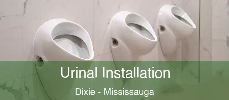  Urinal Installation Dixie - Mississauga