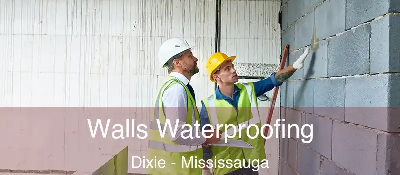  Walls Waterproofing Dixie - Mississauga