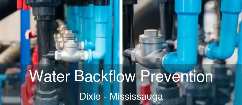  Water Backflow Prevention Dixie - Mississauga