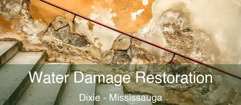  Water Damage Restoration Dixie - Mississauga