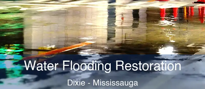  Water Flooding Restoration Dixie - Mississauga