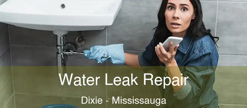  Water Leak Repair Dixie - Mississauga