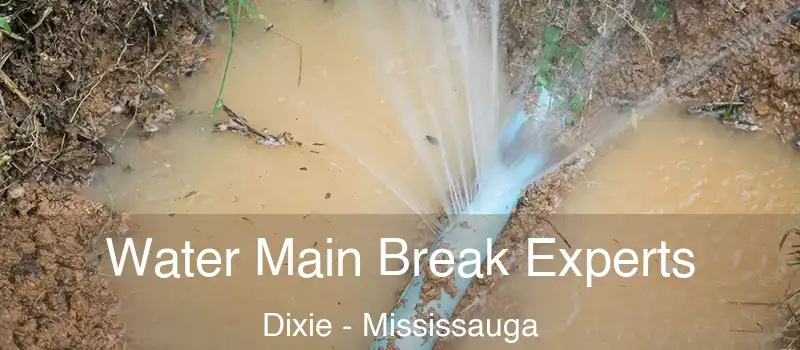  Water Main Break Experts Dixie - Mississauga