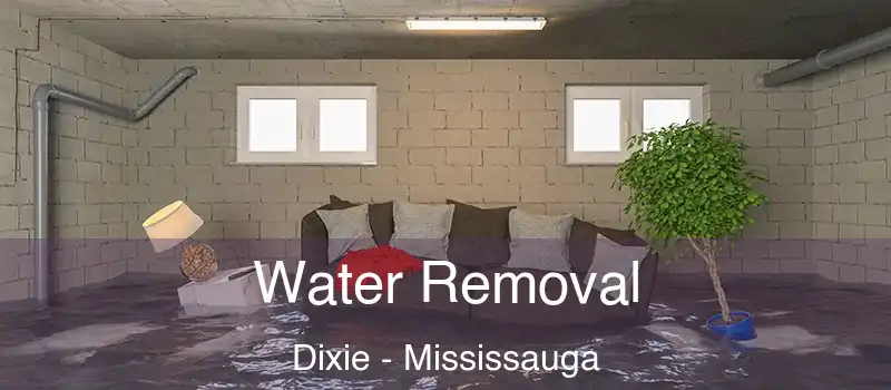  Water Removal Dixie - Mississauga