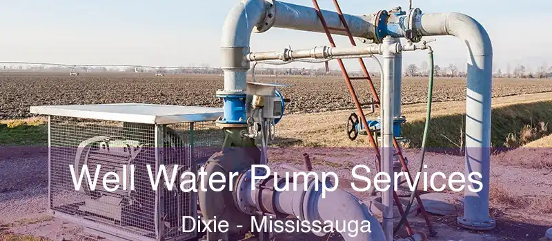  Well Water Pump Services Dixie - Mississauga